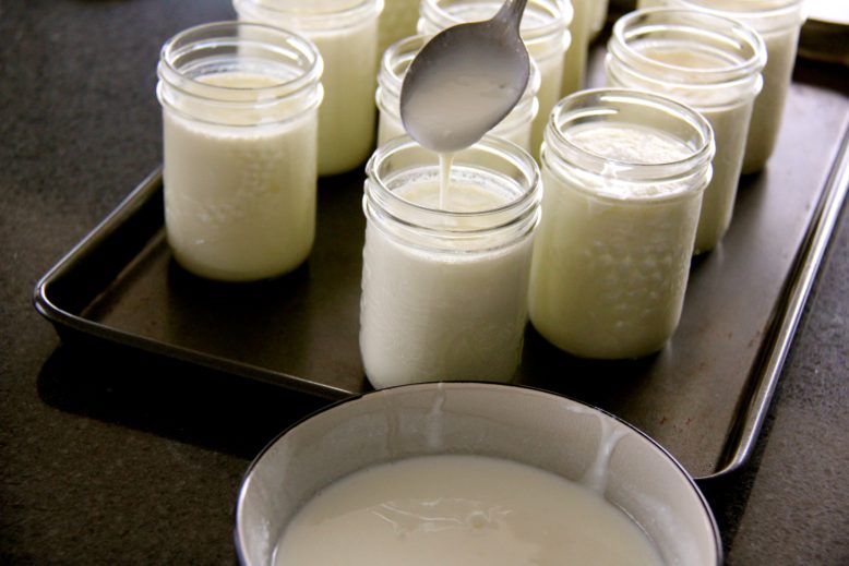 yogurt adding yeast