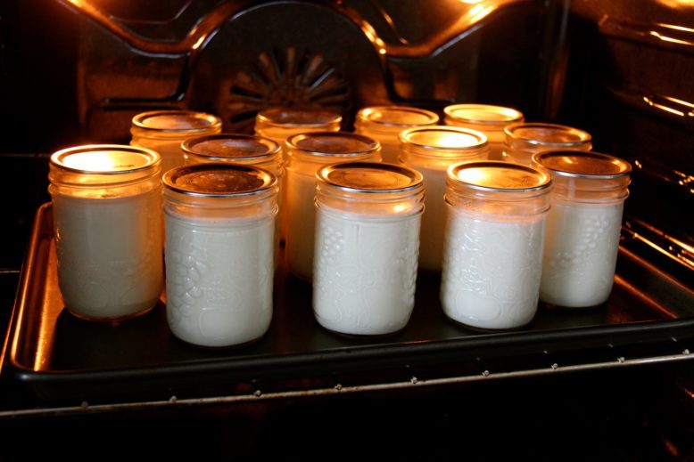 yogurt ready for fermenting